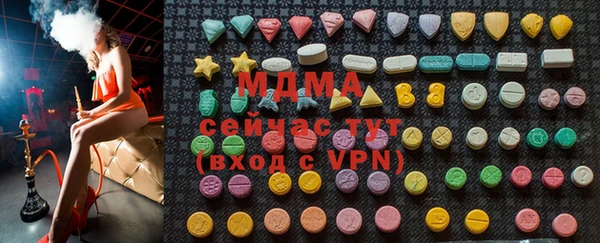 индика Белокуриха