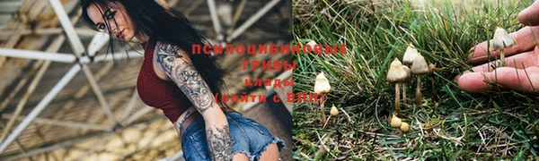 кокаин колумбия Богданович